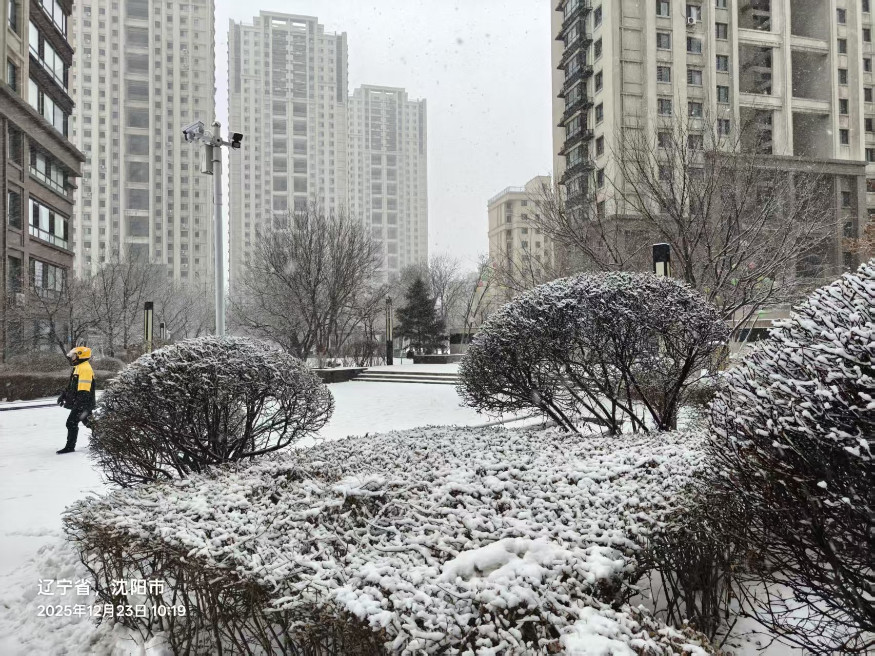 拍摄于我家楼下，沈阳第二次下雪 - 近期拍摄的新照片